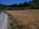 farro-filippi-s-005.jpg