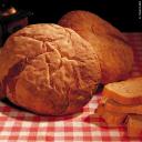 pane1.jpg