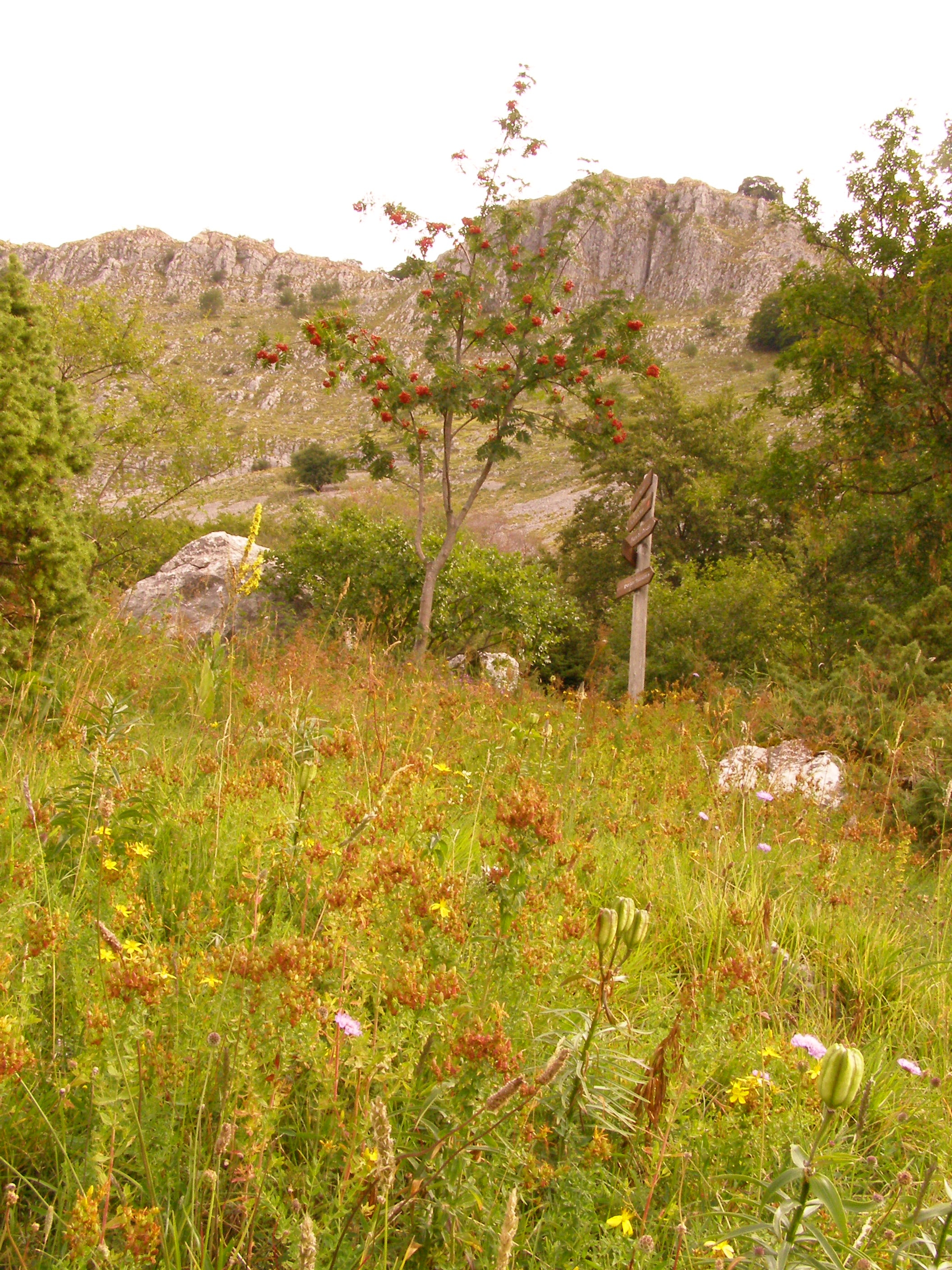 panoramica2.JPG