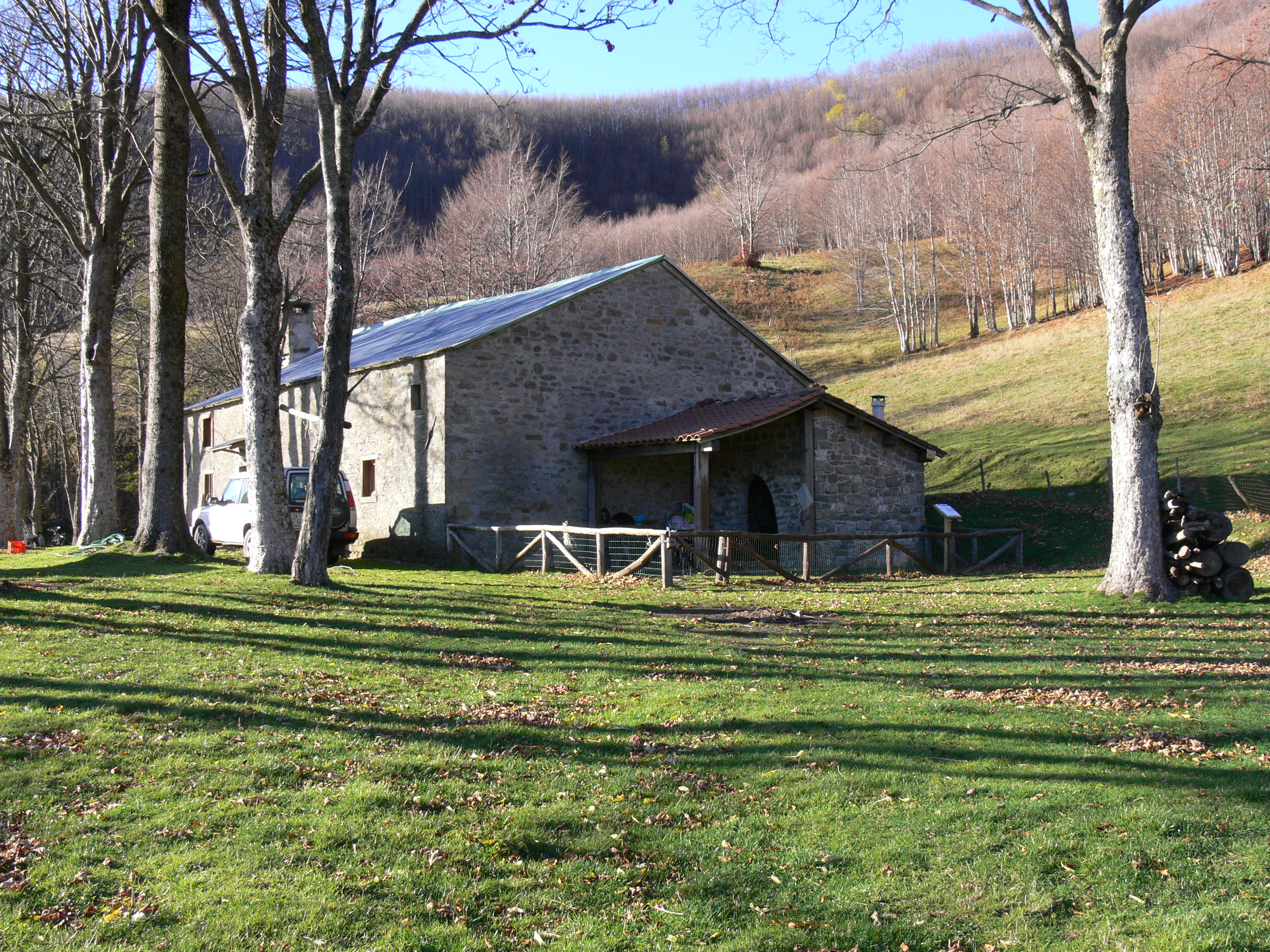 p1000619.JPG